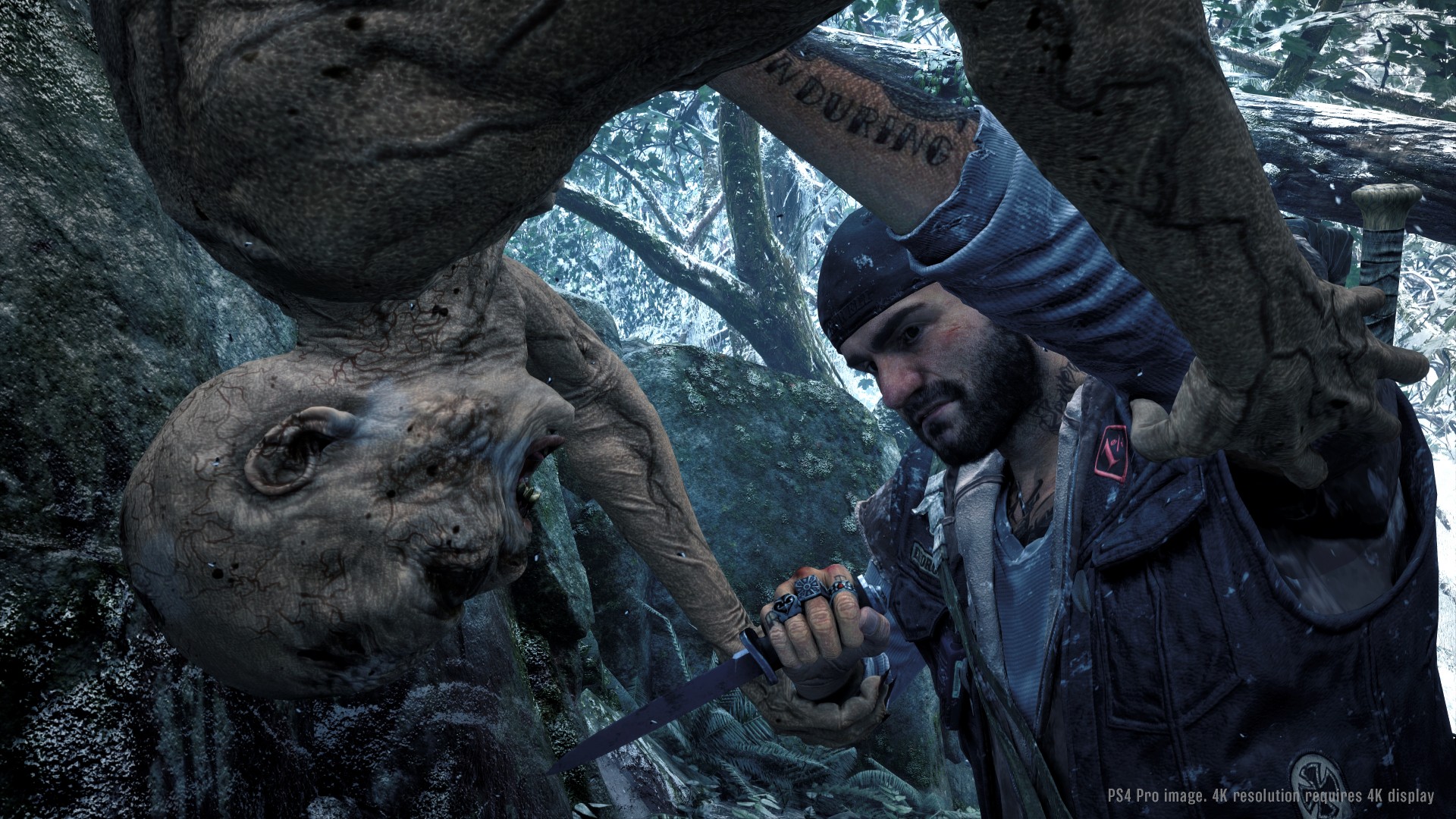 Days Gone Steam CD Key