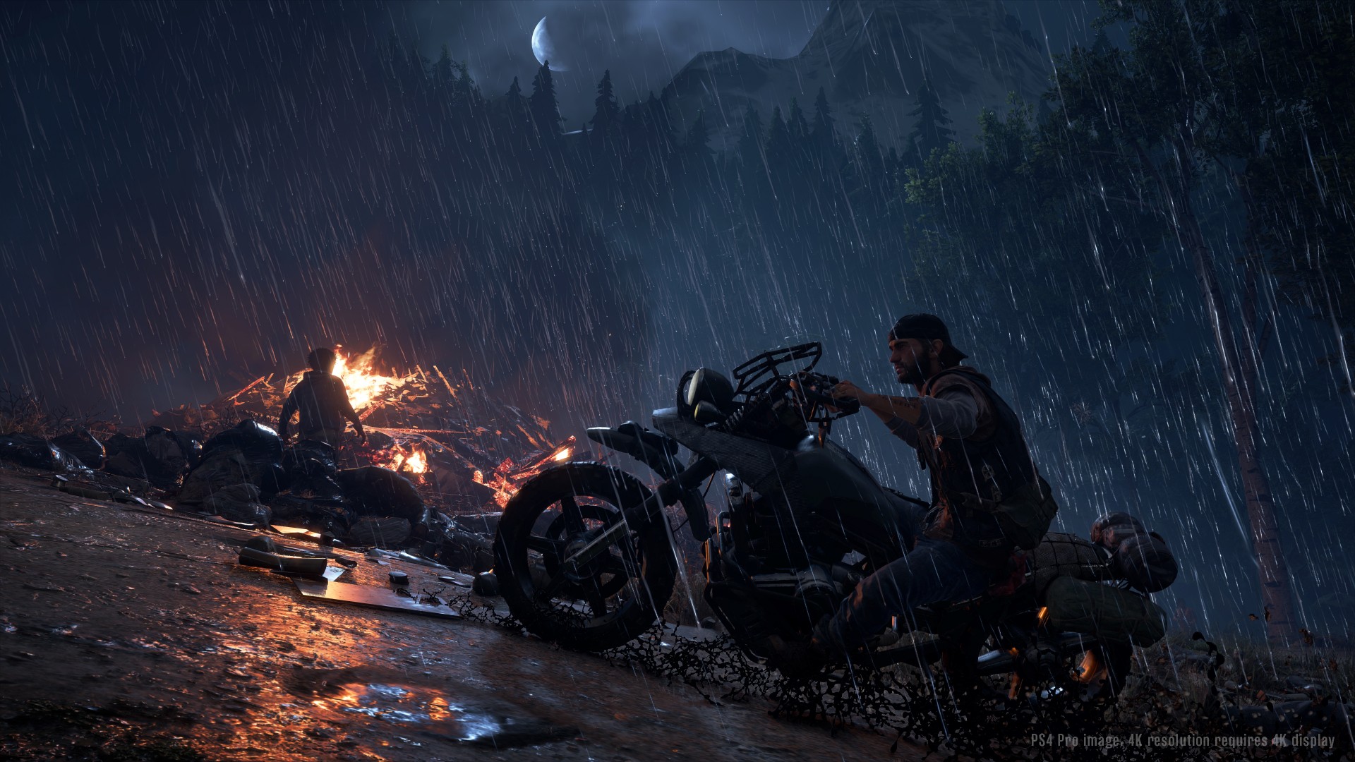 Days Gone Steam CD Key