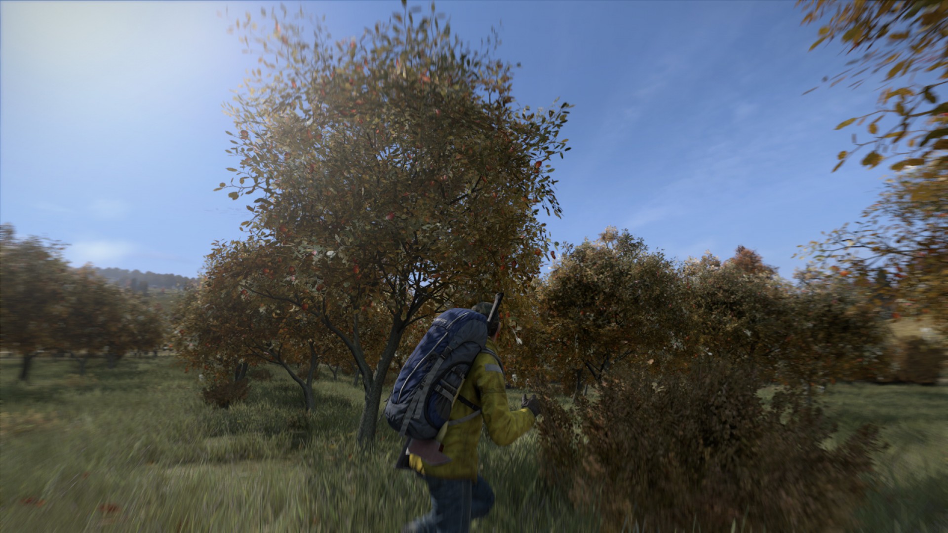 DayZ Steam CD Key